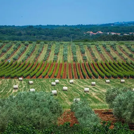 Villa Sky Dream Novigrad Istria