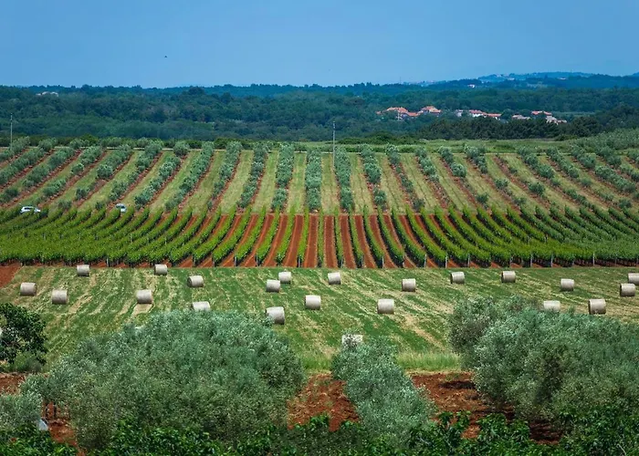 빌라 Sky Dream Novigrad Istria